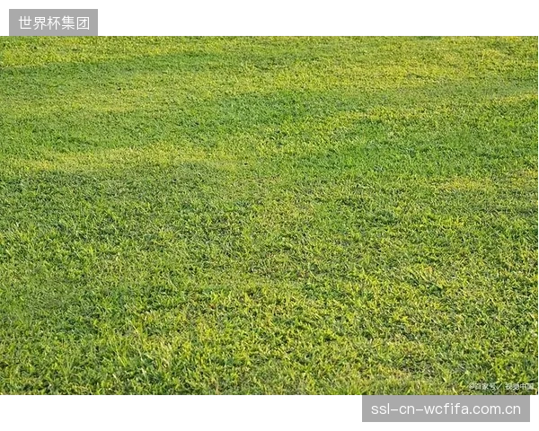 夏季办赛带来的高温高湿天气,及部分场地草坪质量将是不可控变量。 夏季办赛带来的高温高湿天气,及部分场地草坪质量将是不可控变量。